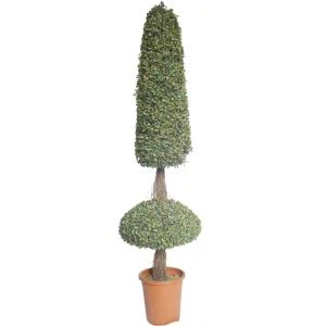 Kunstige Boxwood Topiary træ
