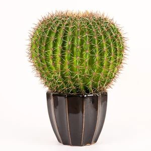 Kunstig kaktusbold