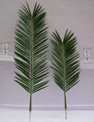 Kunstige Coconutblade