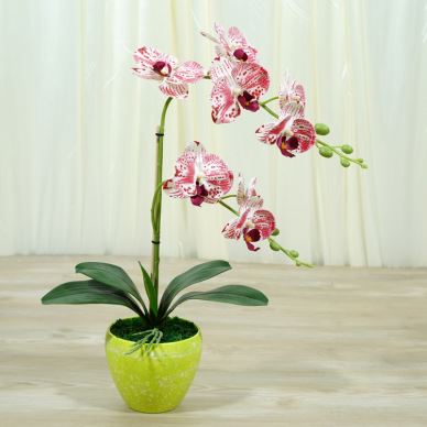 Silk kunstige orkideer Real Touch Red Spot Bonsai Flower